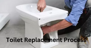 Toilet Replacement Process - B & B Concept Designs