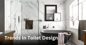 Trends In Toilet Design - B & B Concept Designs